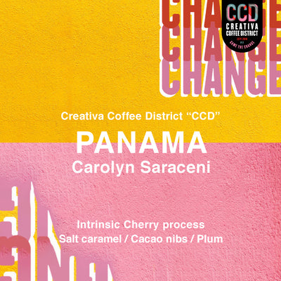 【NEW PRODUCT】パナマ キャロライン サラチェーニ ( PANAMA CAROLYN SARACENI )