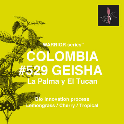 【NEW PRODUCT】コロンビア ラ パルマ WARRIOR ゲイシャ ( “WARRIOR SERIES” COLOMBIA　#529 GEISHA LA PALMA Y EL TUCAN )