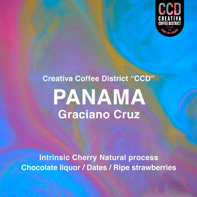 【NEW PRODUCT】パナマ グラシアーノ クルス ( Panama Graciano Cruz )