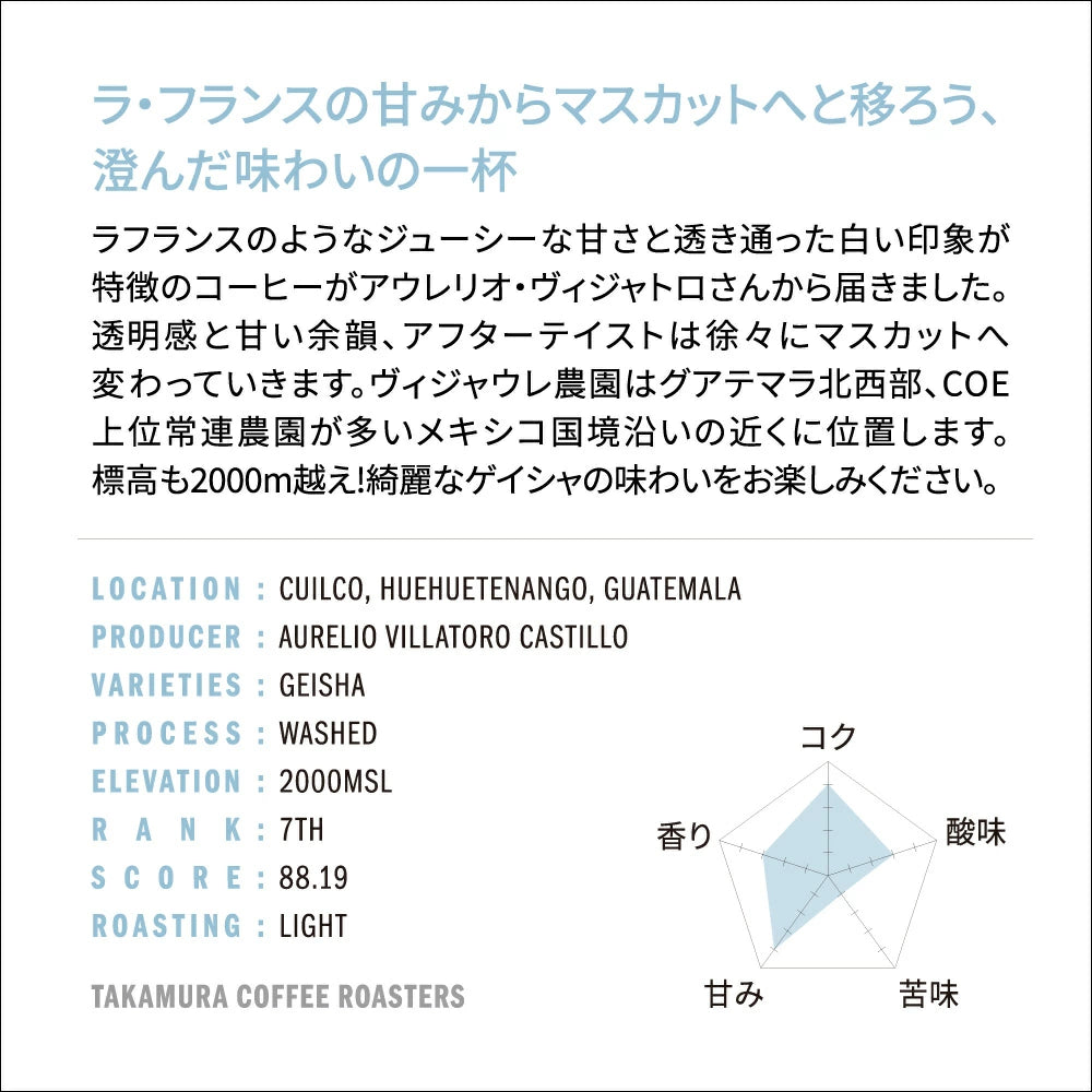 ○ 【送料無料】 グァテマラ グアテマラ ゲイシャ ヴィジャウレ COE