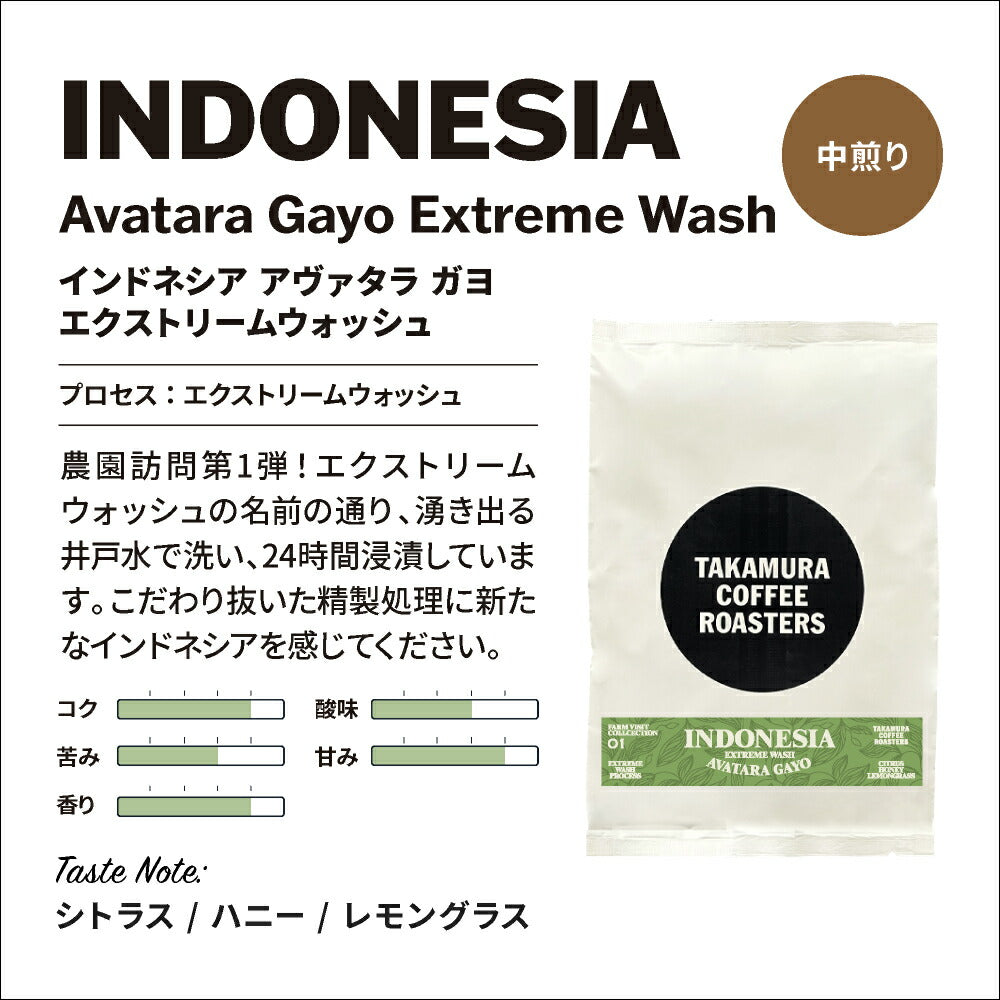● メール便送料無料 コーヒー豆 250g×2種入 インドネシア産地を楽しむ♪ 飲み比べ アソート コーヒー セット ( インドネシア アヴァタラ・ガヨ ／ ゴールデントップ・マンデリン ) 珈琲 メール便 送料無料 [C]TCR ※同梱不可