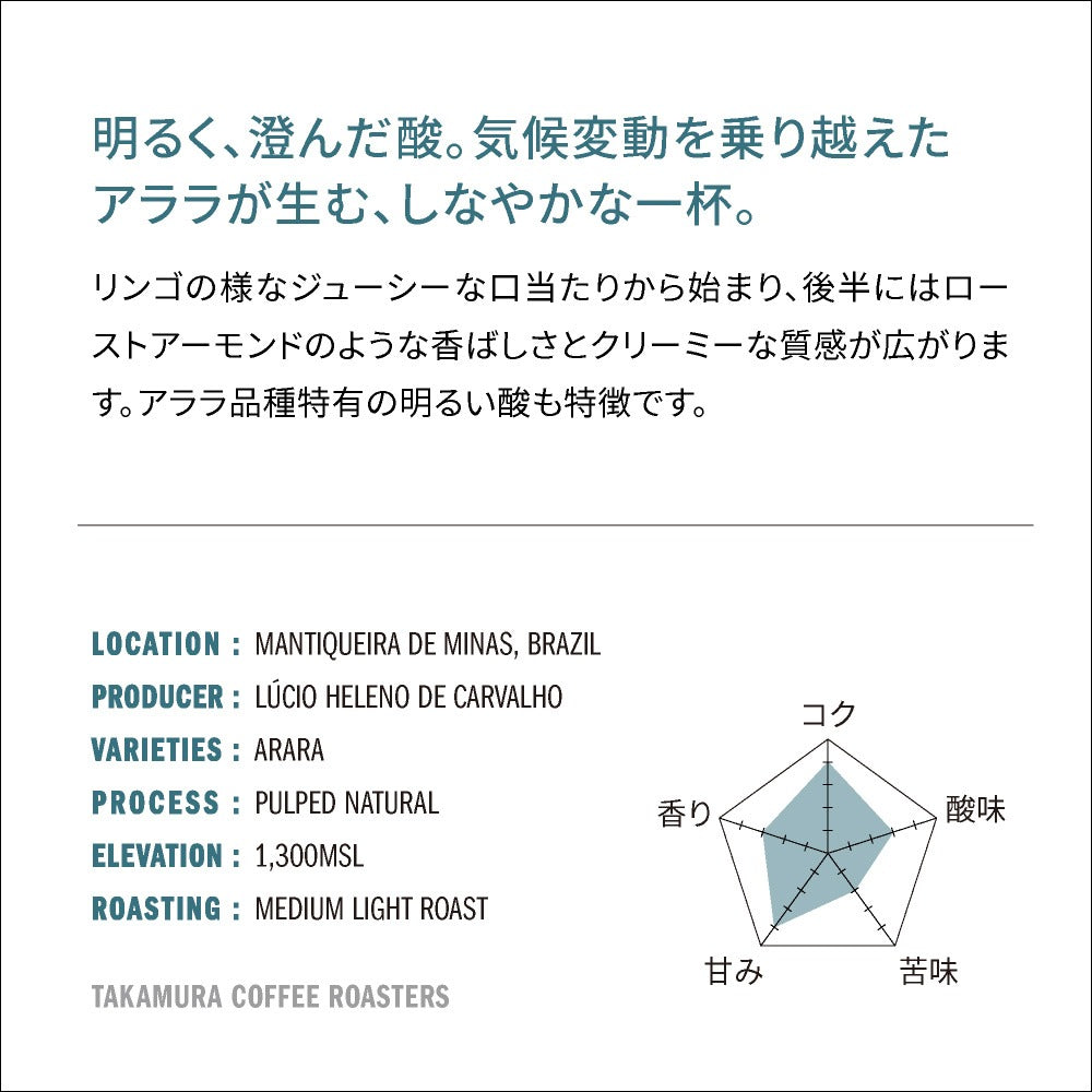 ○ 【送料無料】 中浅煎り ブラジル ベネディト アララ Brazil