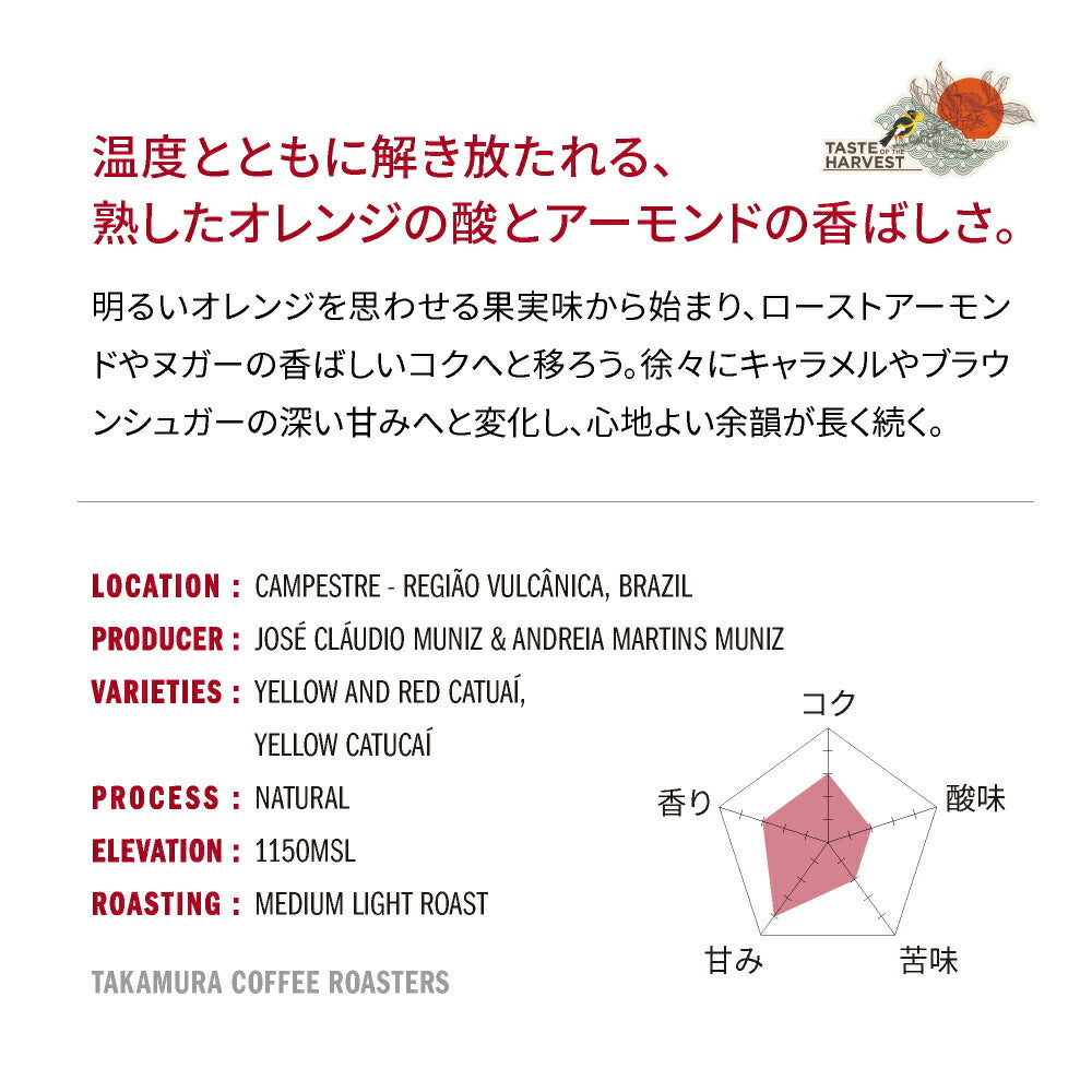 ● 送料無料 コーヒー豆 スペシャルティコーヒー 中浅煎り テイスト・オブ・ハーベスト シッチョ・バングロリア TOH