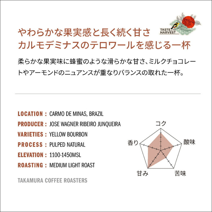 ● 送料無料 コーヒー豆 スペシャルティコーヒー 中浅煎り テイスト・オブ・ハーベスト トレス バハス TOH