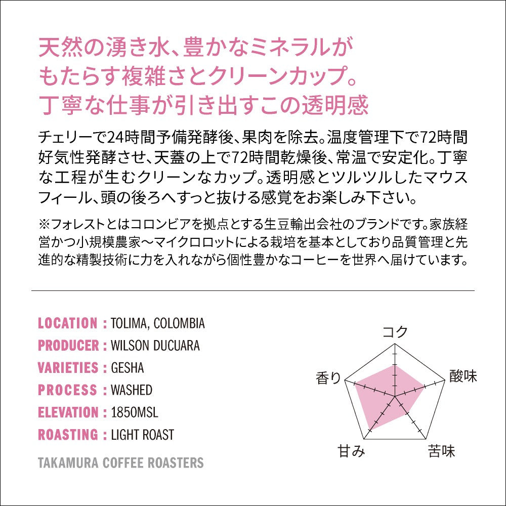 ● 【送料無料】浅煎り コロンビア フォレスト ドゥクアラ ゲイシャ Colombia FOREST Ducuara Geisha