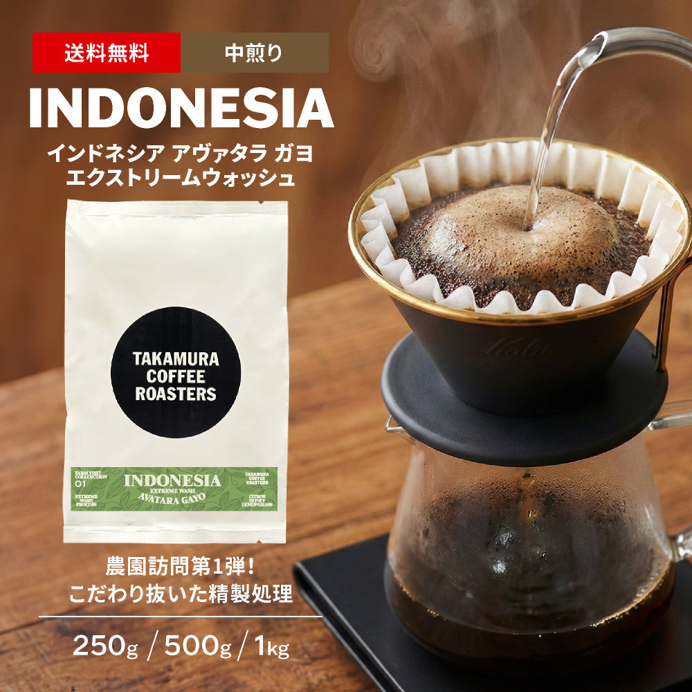 ● 【送料無料】 インドネシア ガヨ アバタラ エクストリームウォッシュ( GAYO AVATARA EXTREME WASH ) ( コーヒー ) ※同梱不可