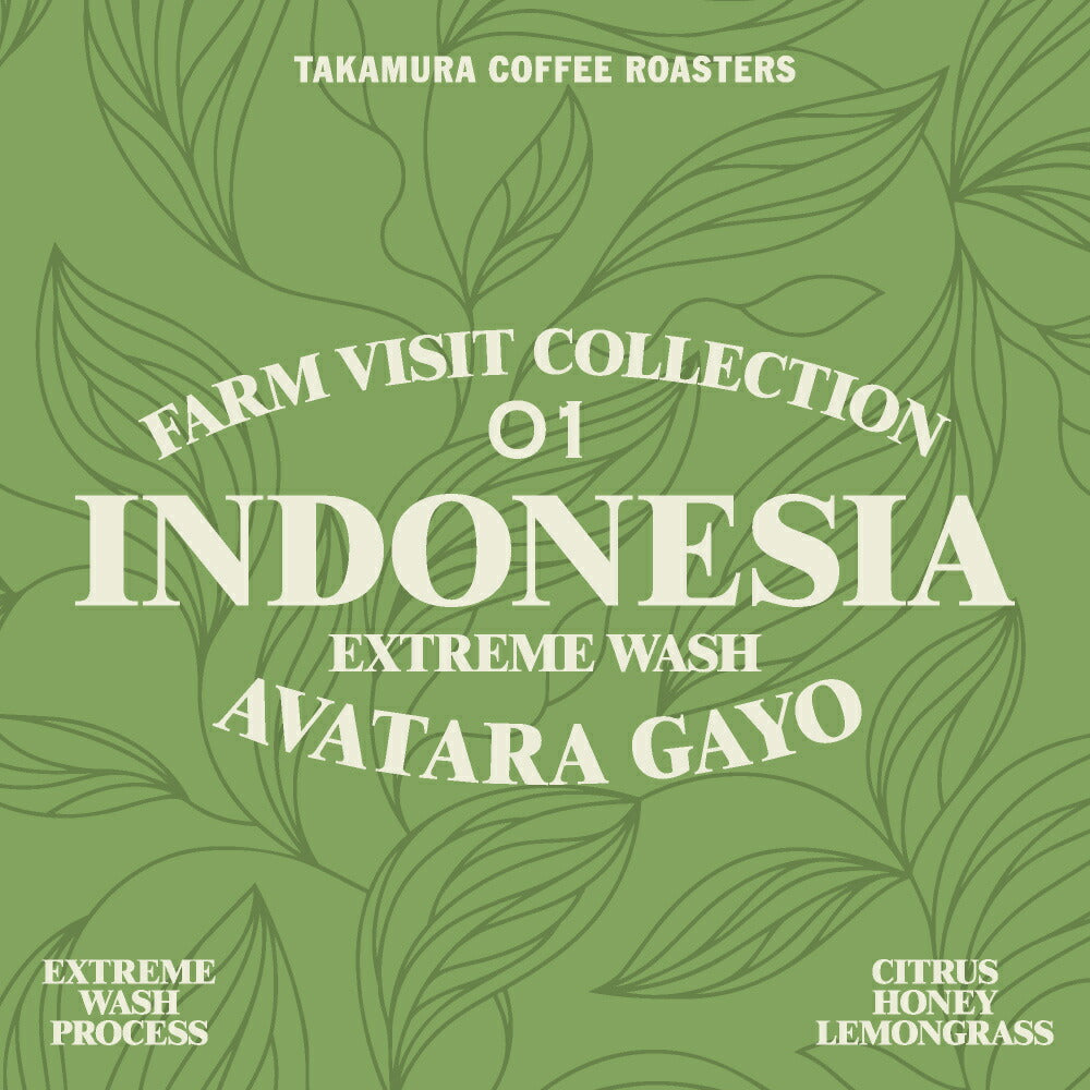 Photo of ●インドネシア ガヨ アバタラ エクストリームウォッシュ( GAYO AVATARA EXTREME WASH )
