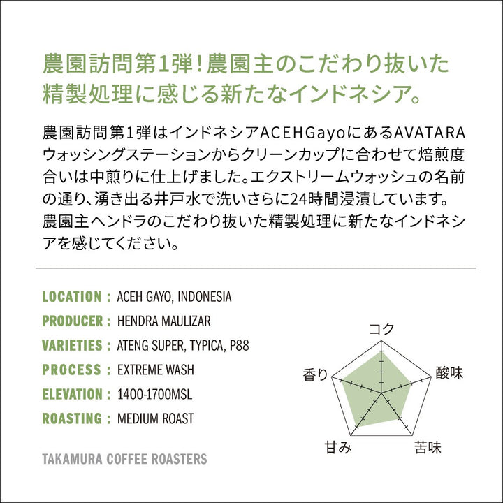● 送料無料 コーヒー豆 スペシャルティコーヒー 中煎り インドネシア ガヨ アバタラ エクストリームウォッシュ Gayo Avatara Extreme wash 250g / 500g / 1kg 豆のまま 3種から選べる コーヒー 珈琲 スペシャリティコーヒー [C] TCR