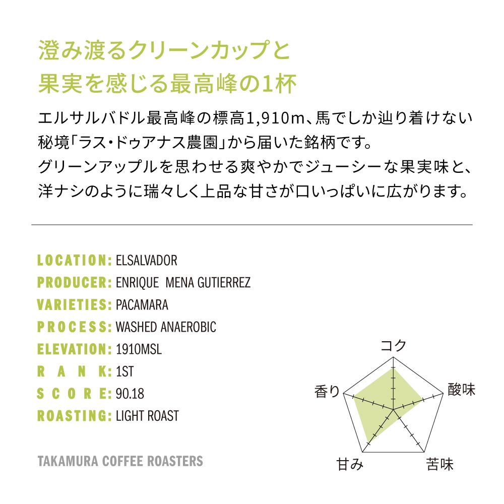 ● 【送料無料】浅煎り エルサルバドル COE25 