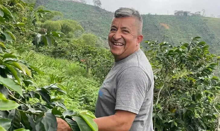 ● 【送料無料】浅煎り コロンビア フォレスト ドゥクアラ ゲイシャ Colombia FOREST Ducuara Geisha 生産地レポート
