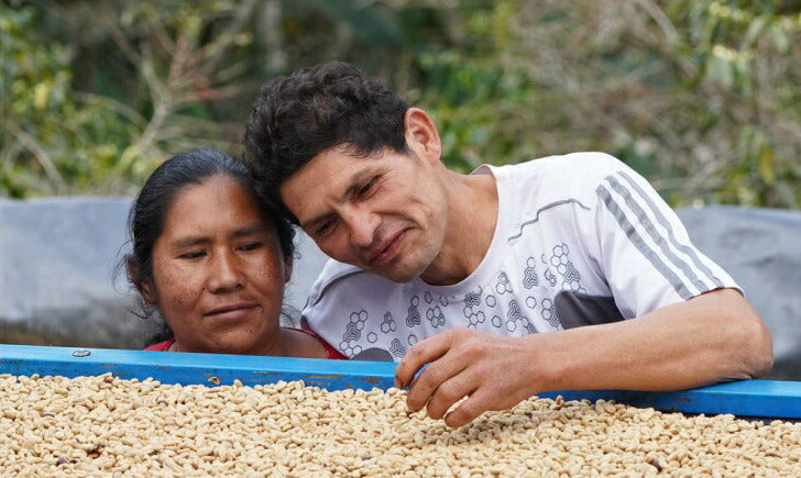 ● 【送料無料】浅煎り ペルー COE25 #15 ミスカバンバ農園 Peru COE25 #15 Miscabamba 生産地レポート