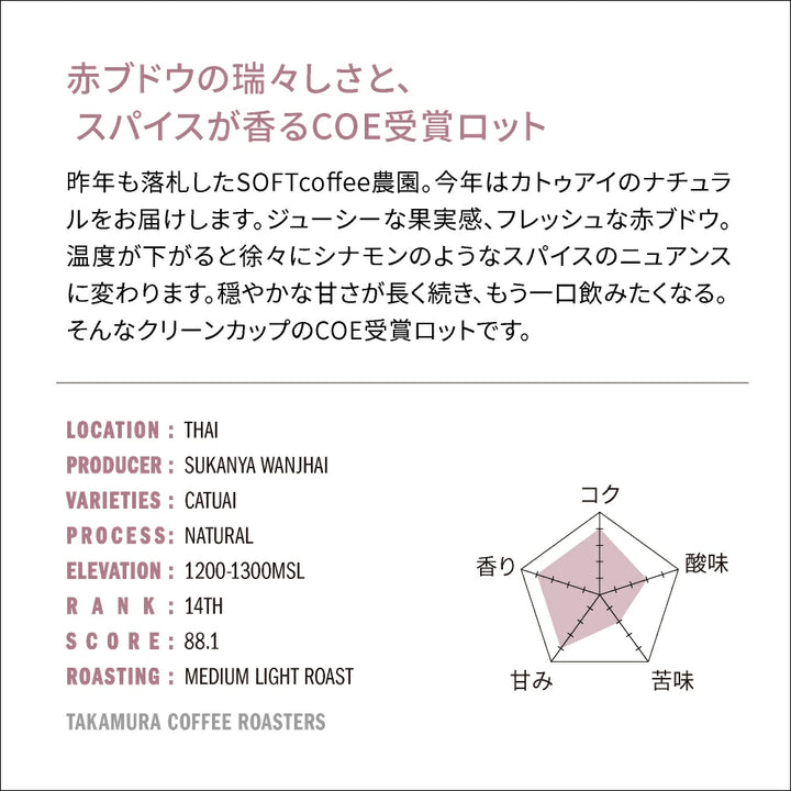 ● 【送料無料】 タイ ソフト コーヒー COE 2025 