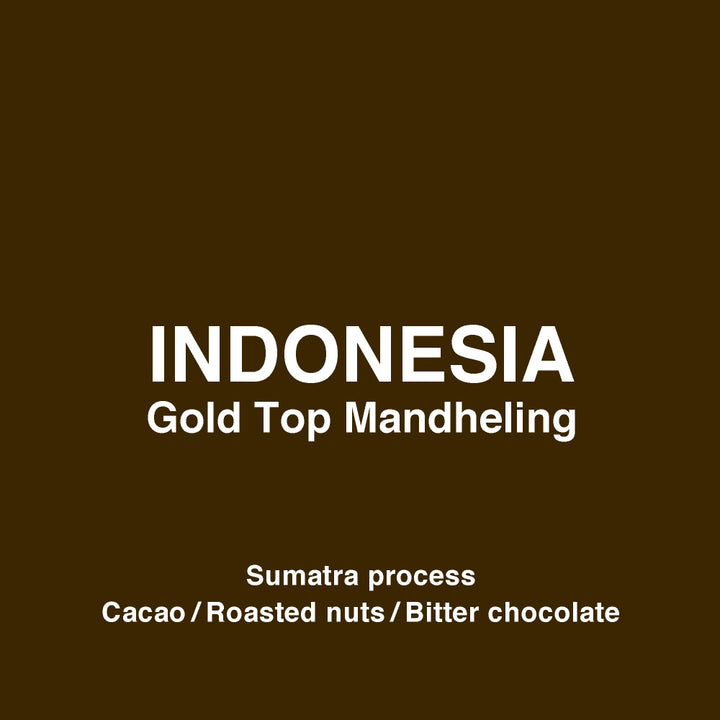 ● 【送料無料】 インドネシア　ゴールド トップ マンデリン（Indonesia Gold Top Mandheling） ( コーヒー ) ※同梱不可