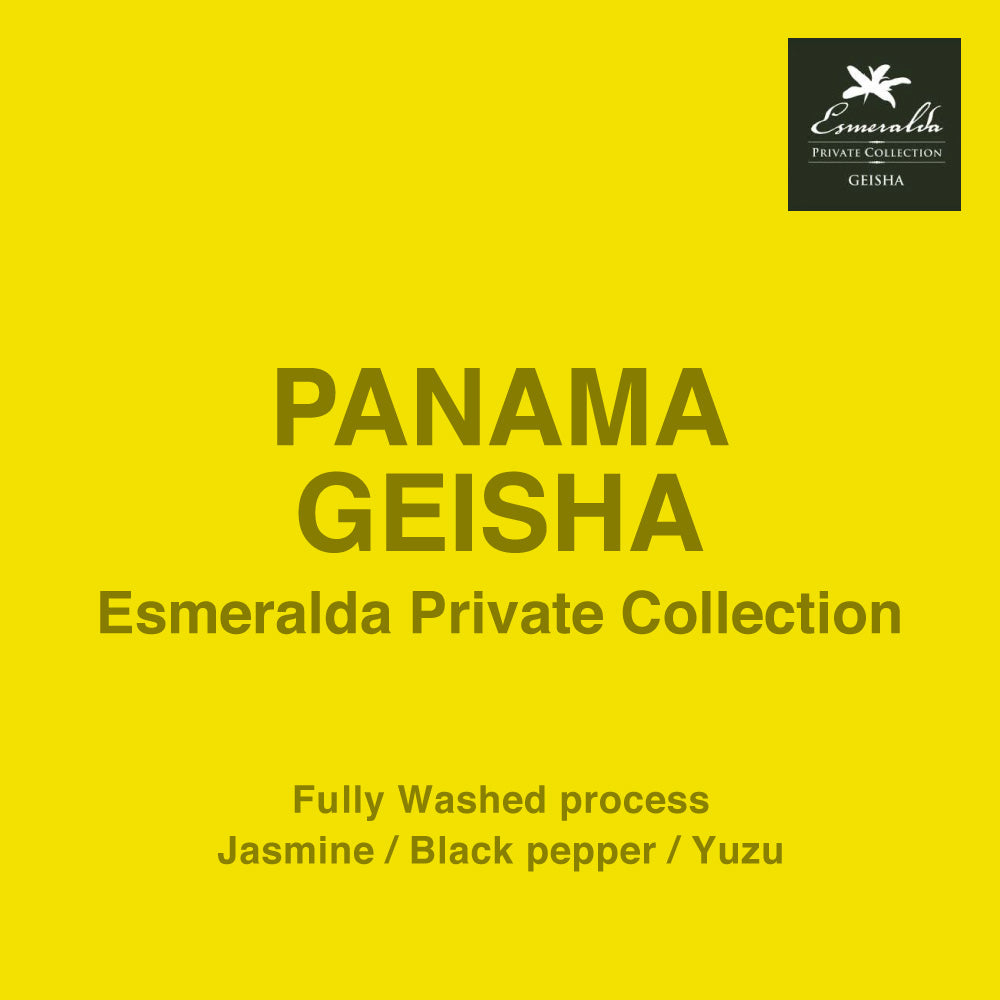Photo of ●パナマ エスメラルダ ゲイシャ ( PANAMA LA ESMERALDA PRIVATE COLLECTION “GEISHA” ) [C]